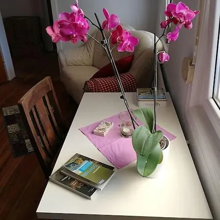 Apartament Am Nibelungensteig Unter Der Burg Lindenfels