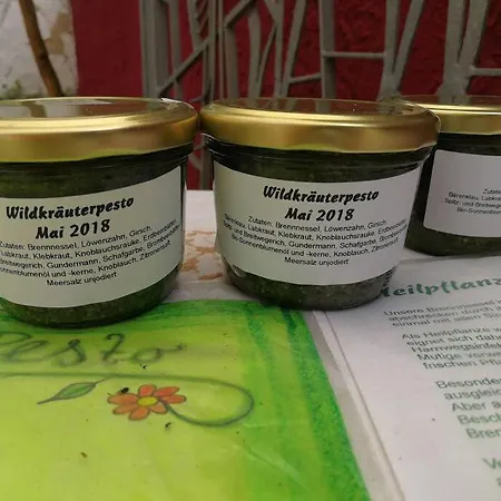 Am Nibelungensteig Unter Der Burg Apartament